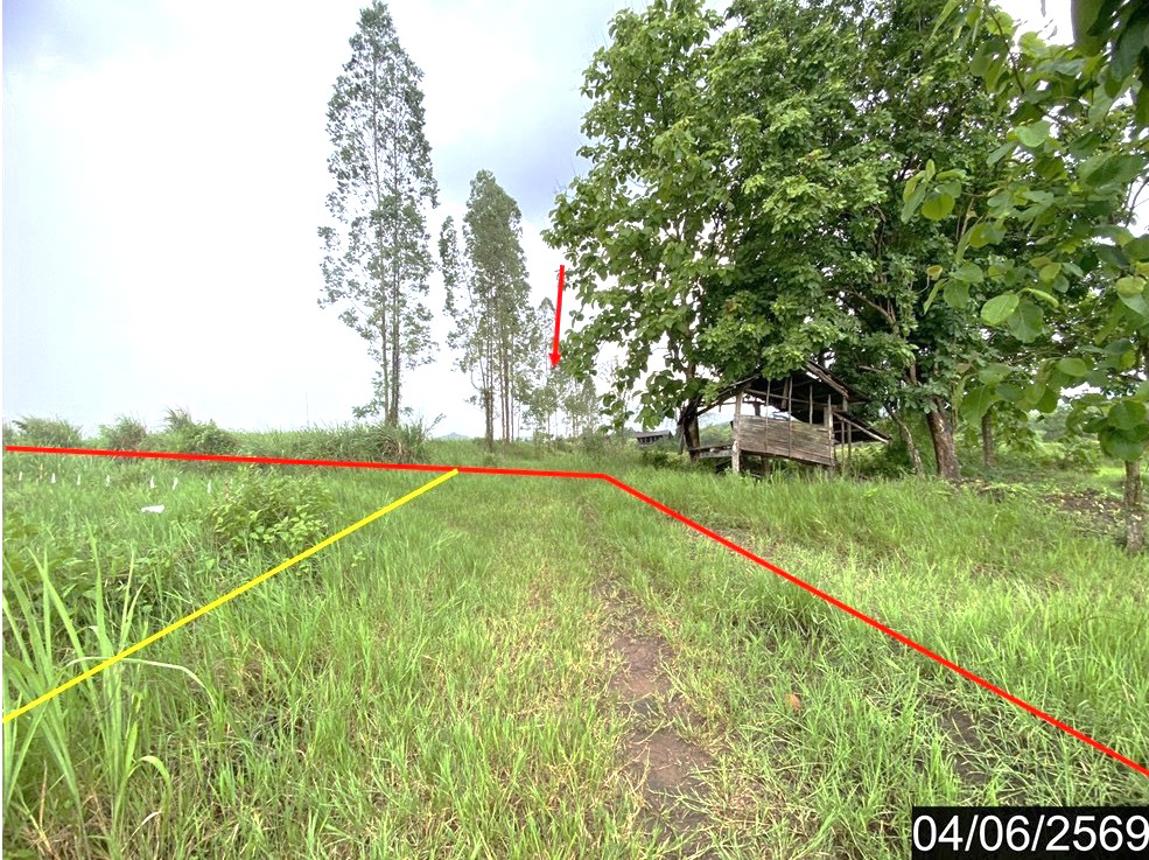 ที่ดินว่างเปล่า ท่าลี่ เลย