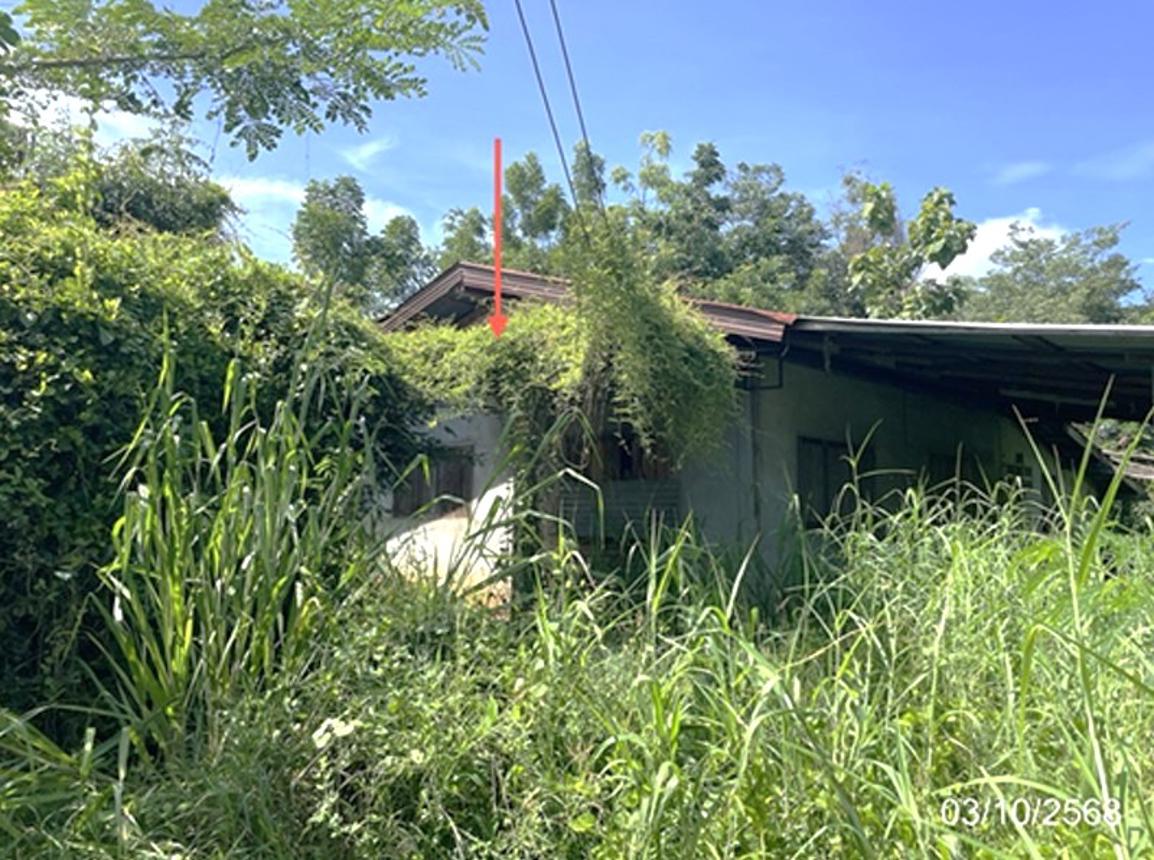 Single House in Lom Sak, Phetchabun
