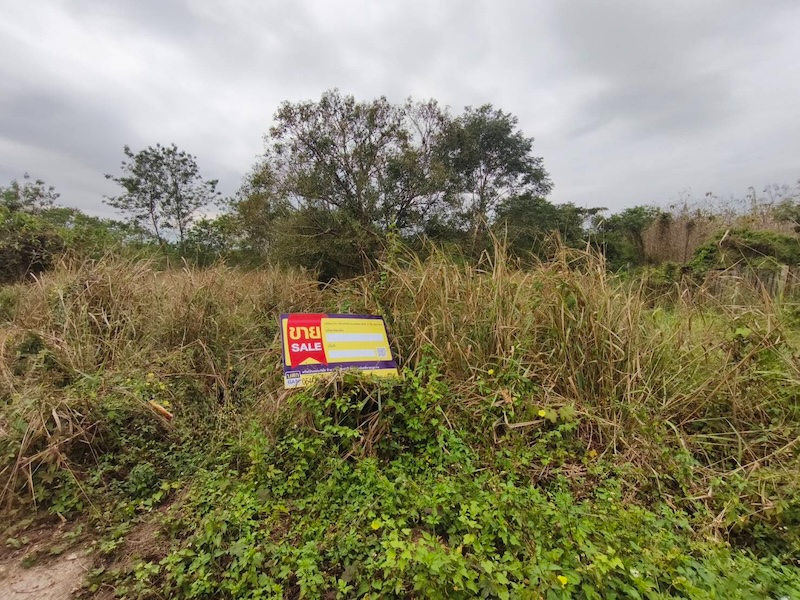 Empty land for sale in Lamphun Province