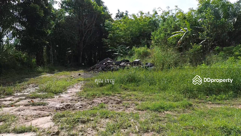 Land for sale 37 Rai closed to Klong Ta Tai, Rayong