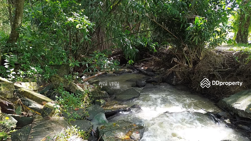 Land for sale 37 Rai closed to Klong Ta Tai, Rayong