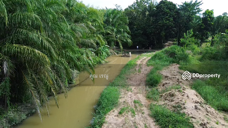 Land for sale 37 Rai closed to Klong Ta Tai, Rayong