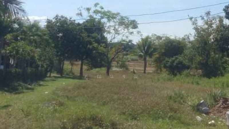 นอกโครงการกาฬสินธุ์, Kalasin