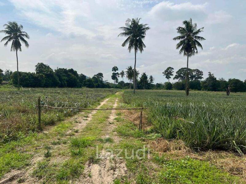 Prime Land For Sale : 9-2-98 Rai In Cha Am, Phetchaburi