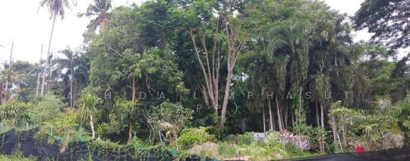 Land for Sale In Pornprapanimit, Chon Buri (Pattaya)