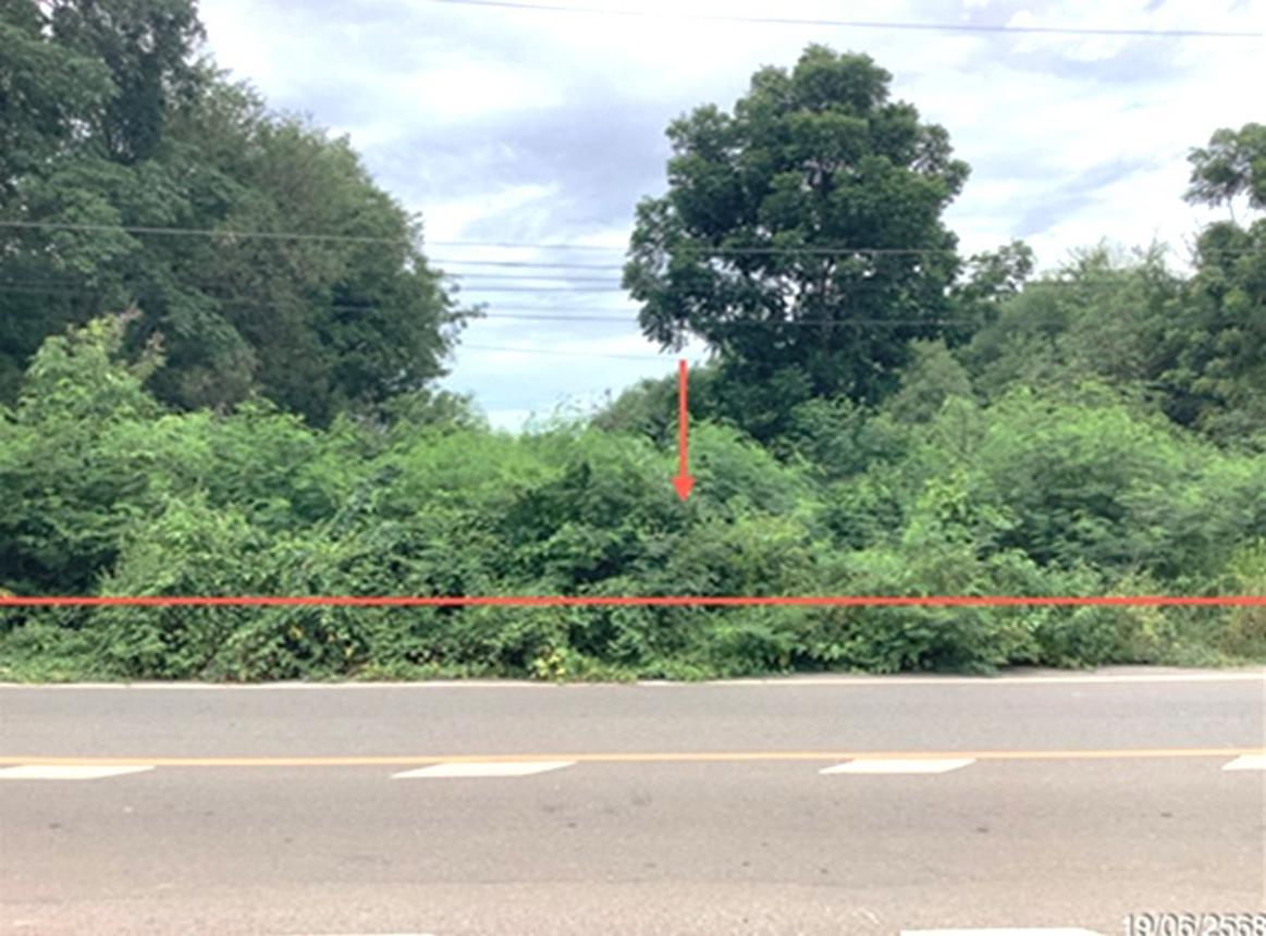 ที่ดินว่างเปล่า ตำบลหนองมะโมง อำเภอไศลา จังหวัดชัยนาท