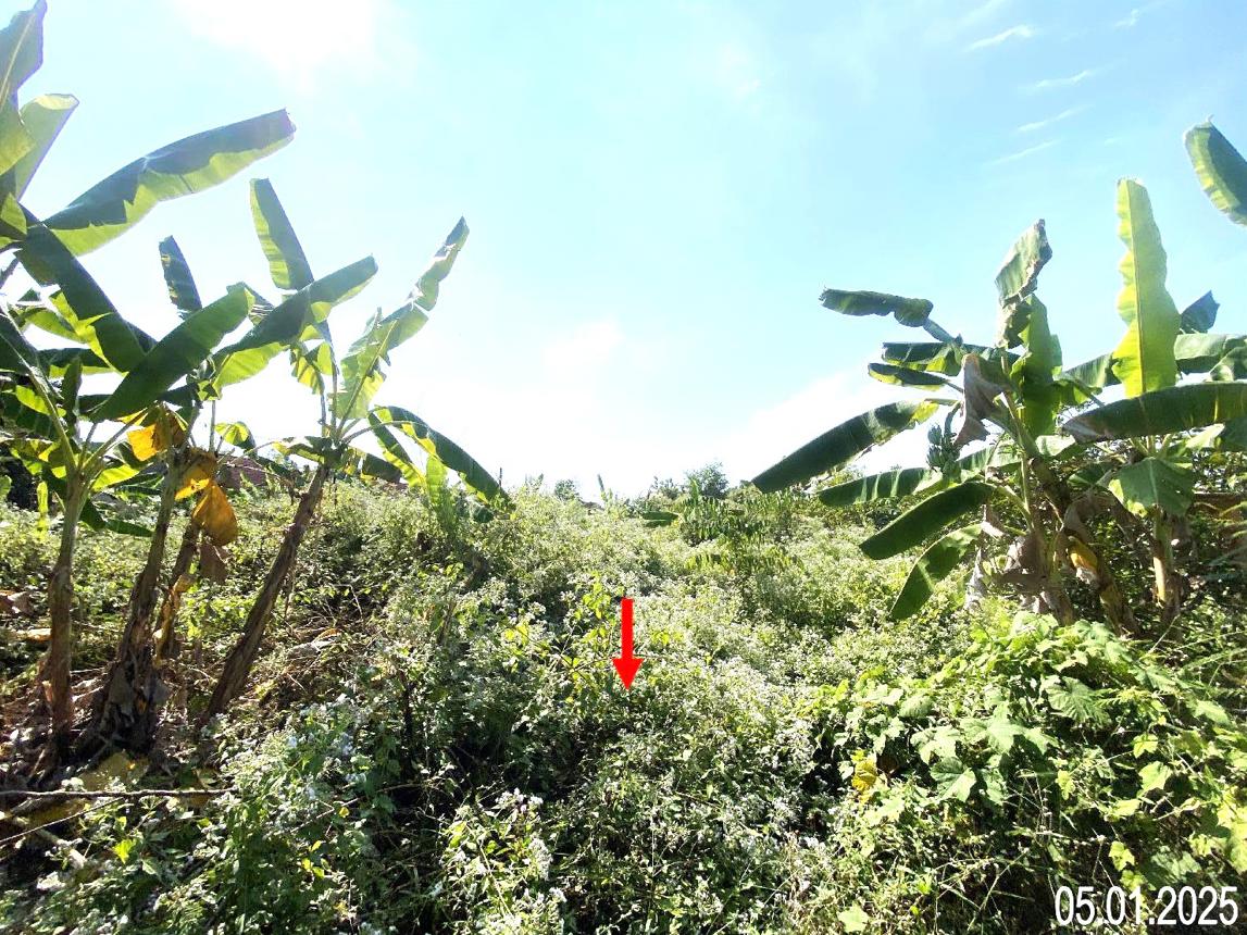 ที่ดินว่างเปล่า บ้านภัทรา เมืองอุตรดิตถ์ อุตรดิตถ์