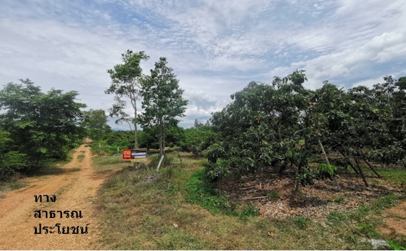 ที่ดินเปล่า โครงการบ้านหนองห่าย เชียงใหม่