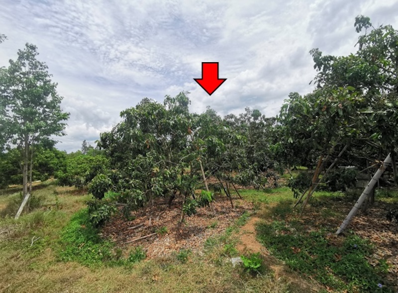 ที่ดินเปล่า โครงการบ้านหนองห่าย เชียงใหม่