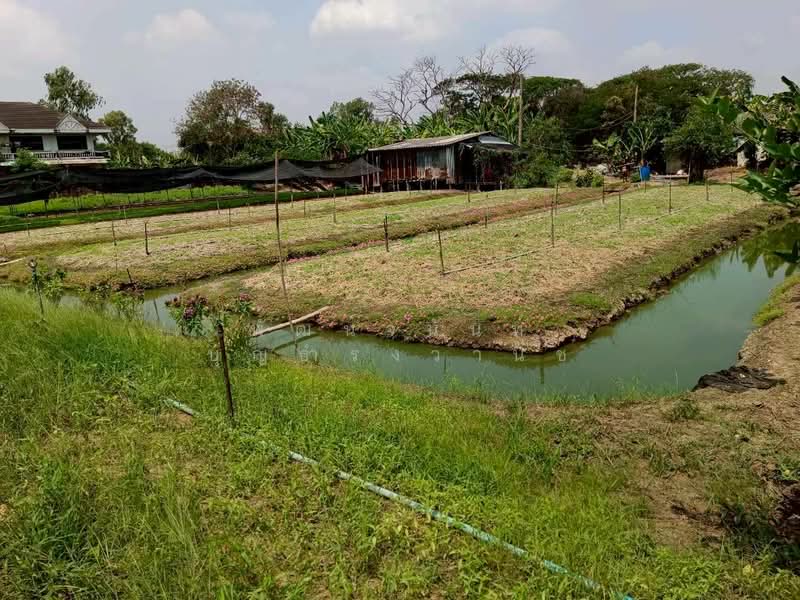 บ้านใหม่, Nonthaburi