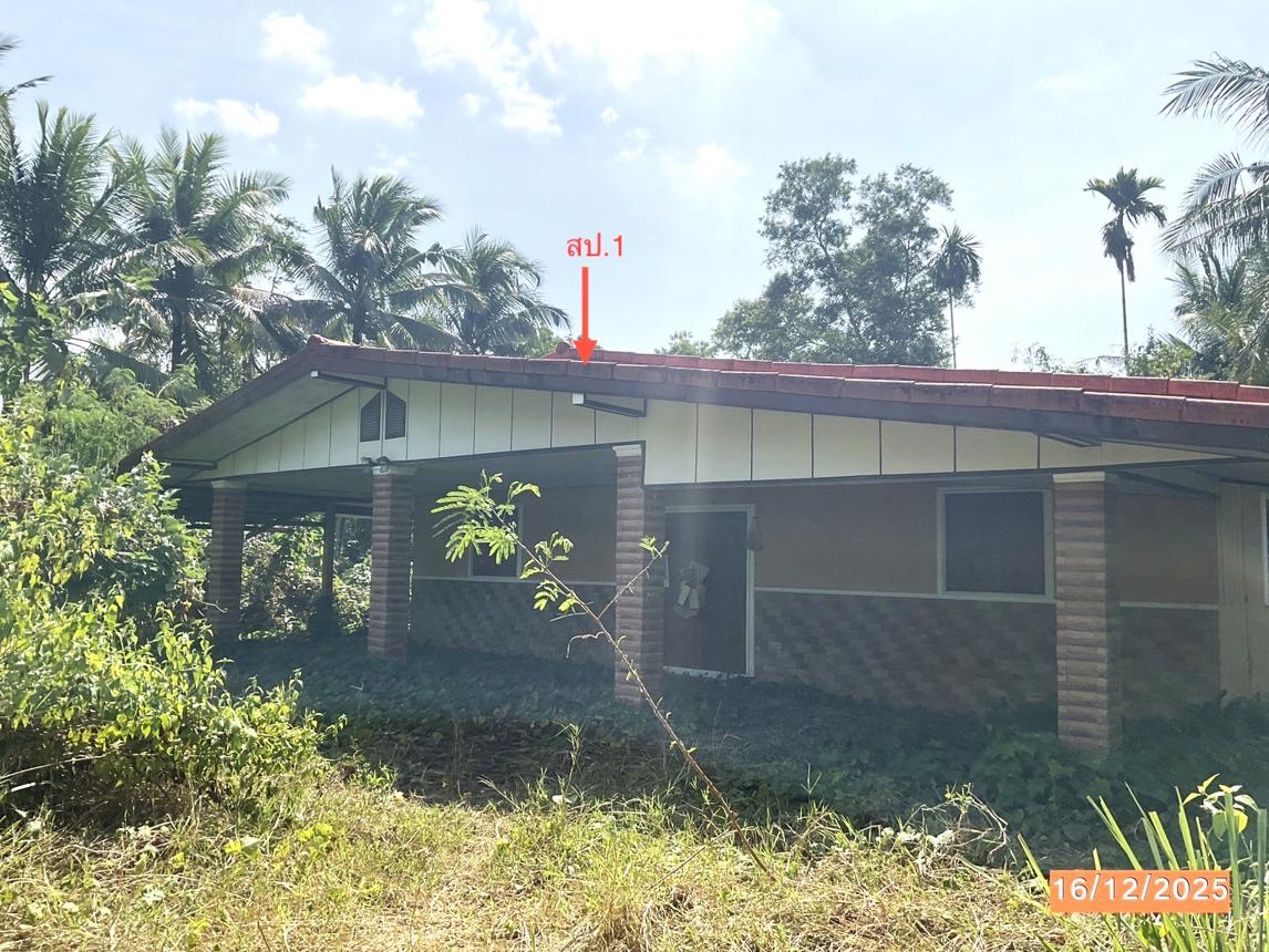 Single-Family Home in Trang City, Trang Province