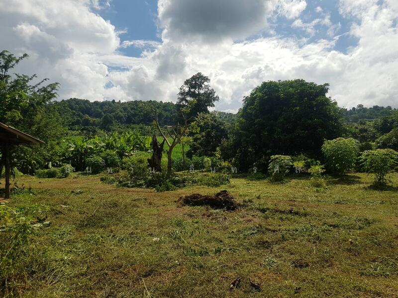 Land, Chiang Mai
