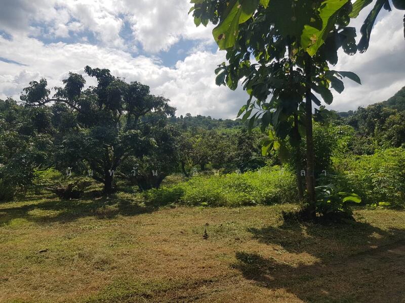 Land, Chiang Mai