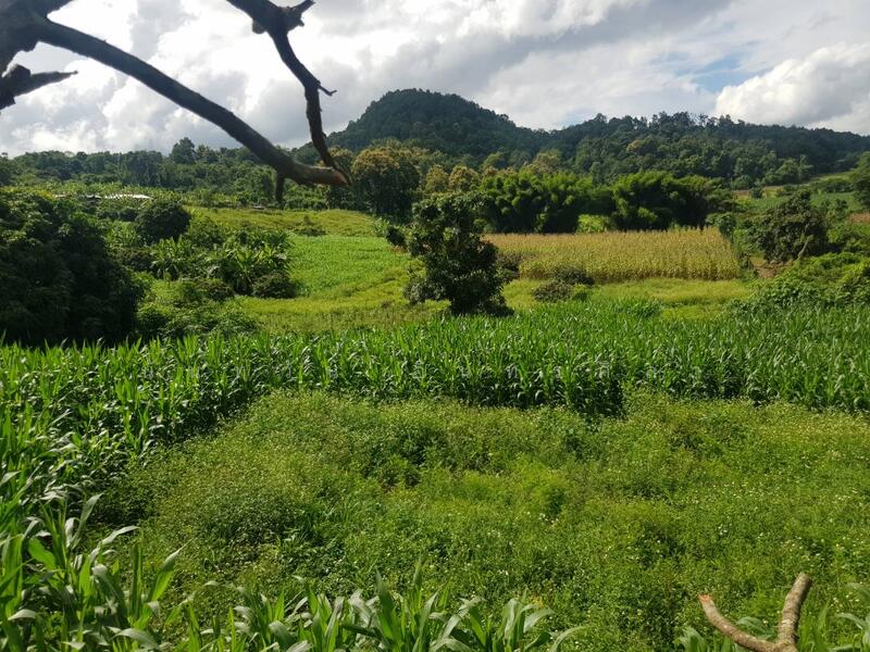 Land, Chiang Mai