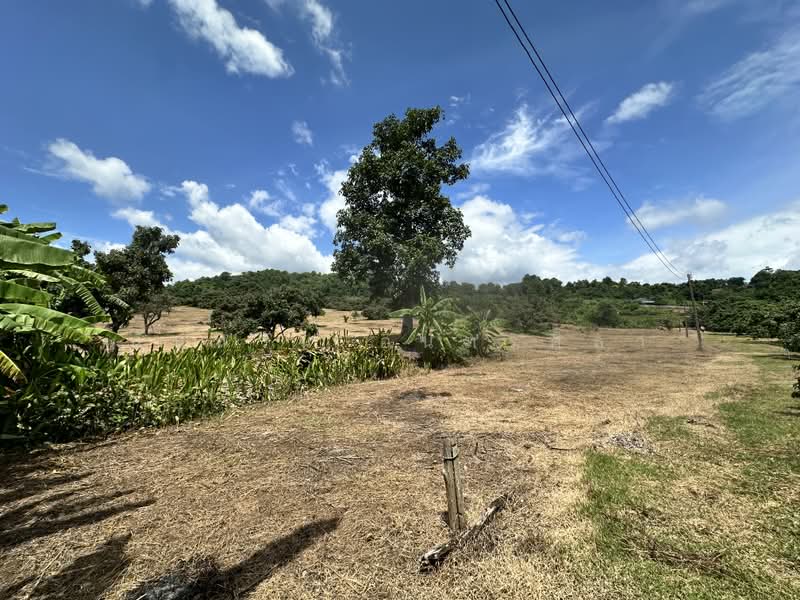 Land, Chiang Mai