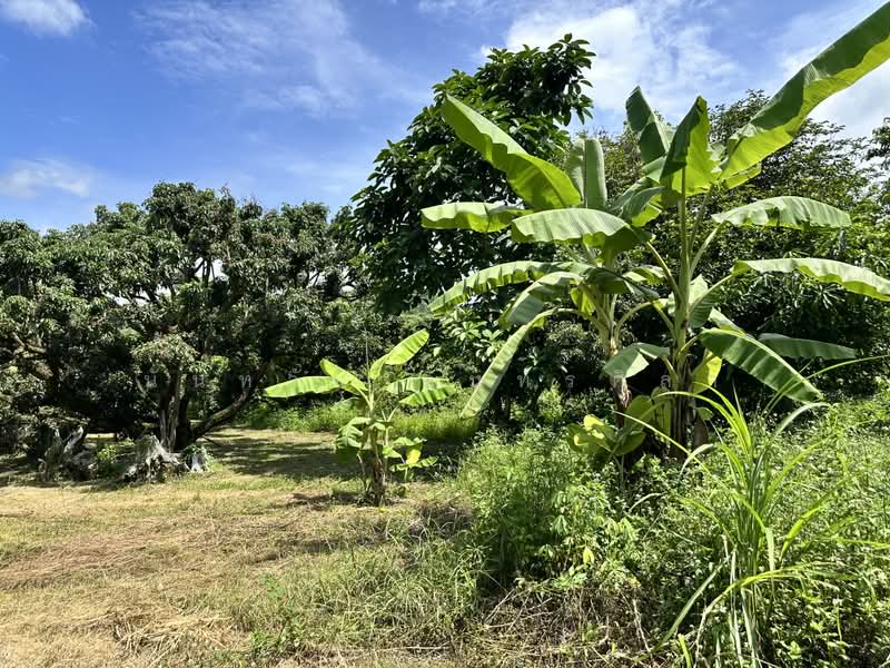 Land, Chiang Mai