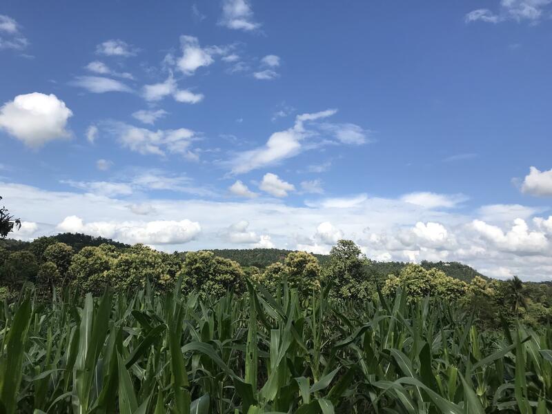 Land, Chiang Mai