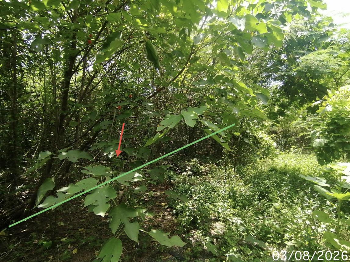 ที่ดินว่างเปล่า บ้านยุพนัย แก่งคอย สระบุรี