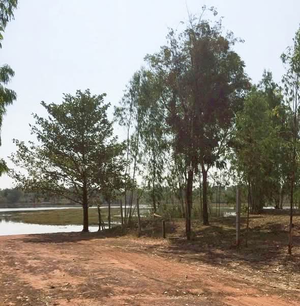 สระนกแก้ว, Roi Et