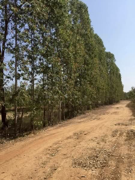 สระนกแก้ว, Roi Et
