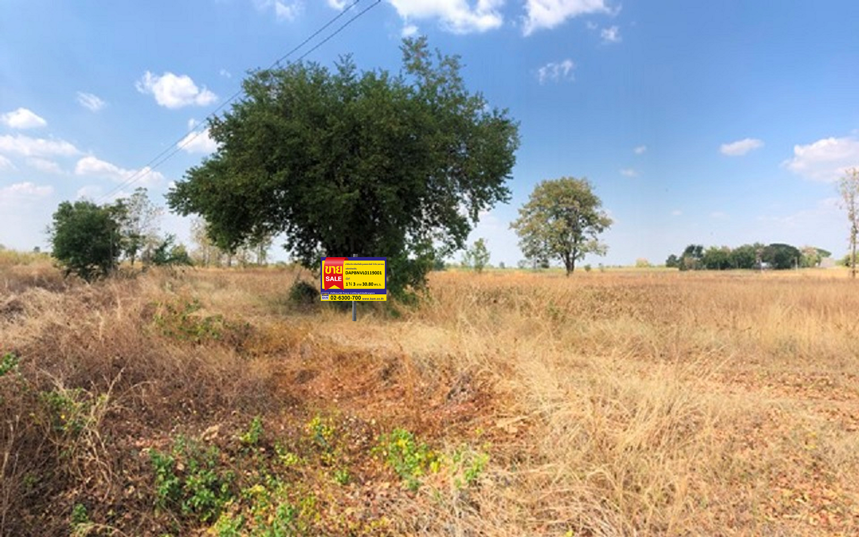 Empty land plot in Karaket Project, Phetchabun Province.