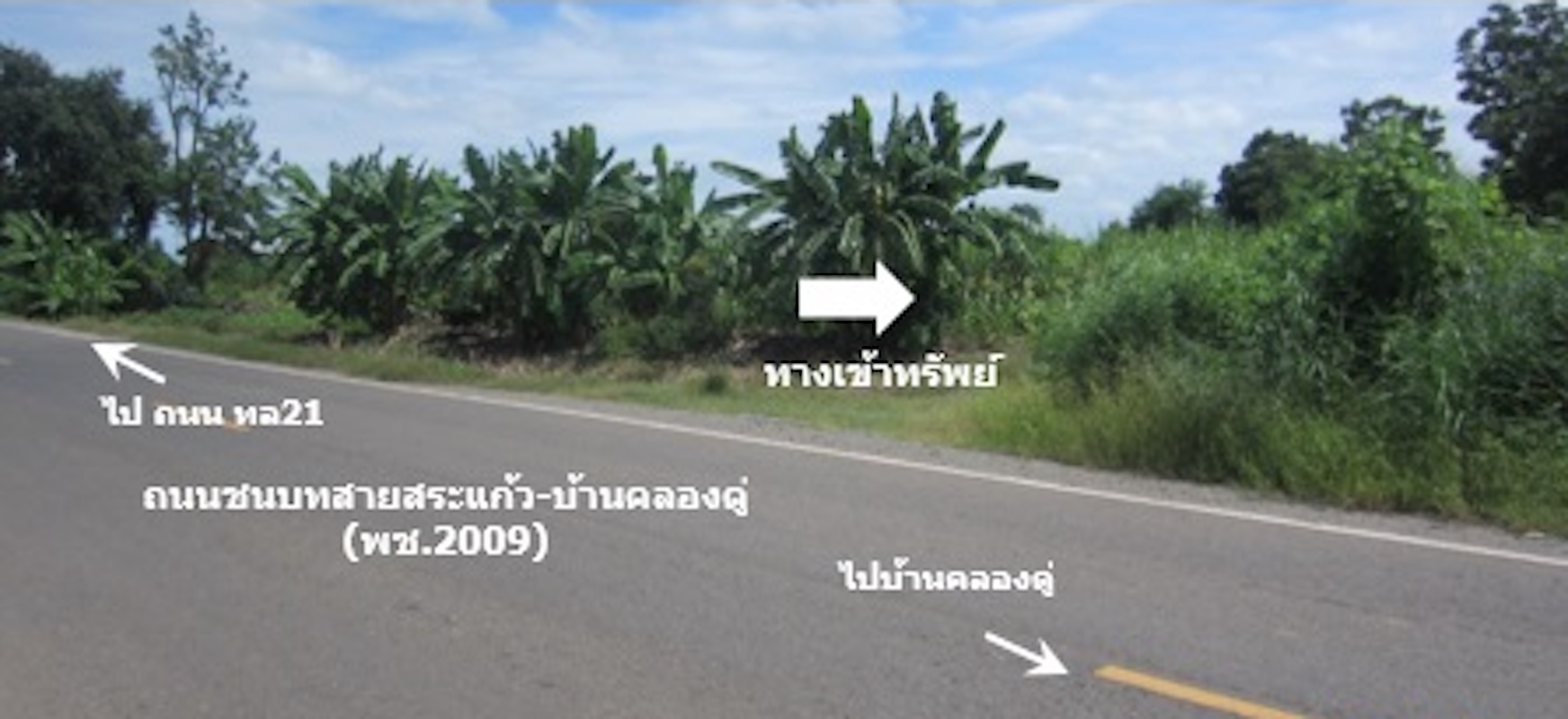 ที่ดินเปล่า โครงการการะเกด เพชรบูรณ์