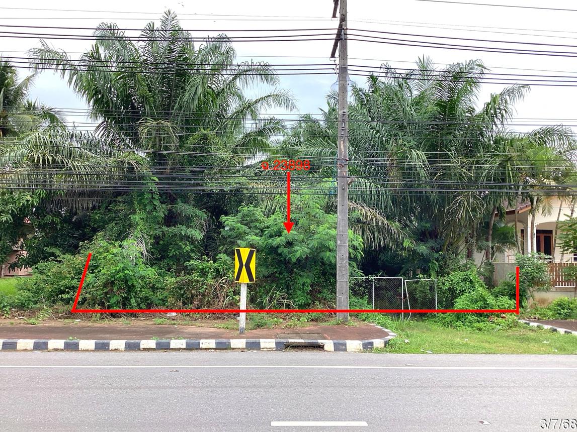 Empty land in Bang Saphan, Prachuap Khiri Khan Province