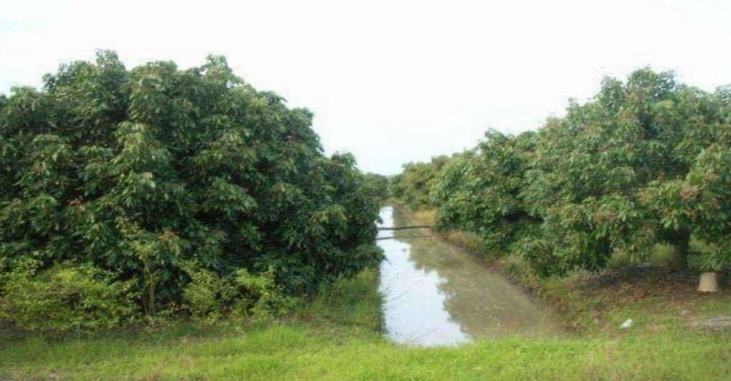 ที่ดินว่างเปล่า หางดง เชียงใหม่
(หมายเหตุ: หางดง เป็นชื่ออำเภอในจังหวัดเชียงใหม่ และไม่จำเป็นต้องแปล)