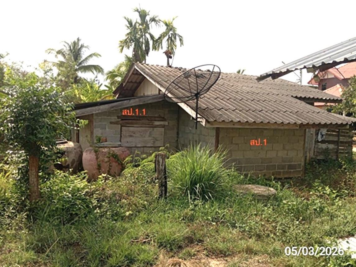 Single House, Buachet, Surin Province
