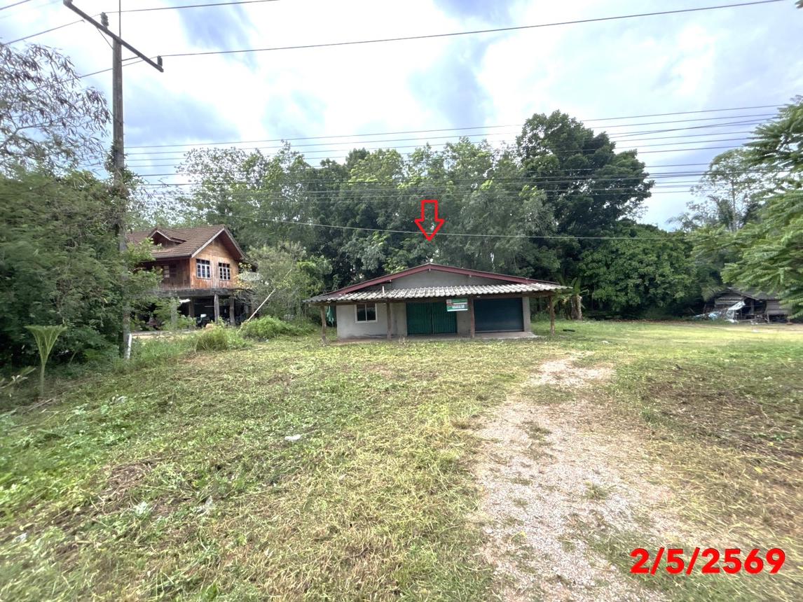 Single House in Prasang, Surat Thani