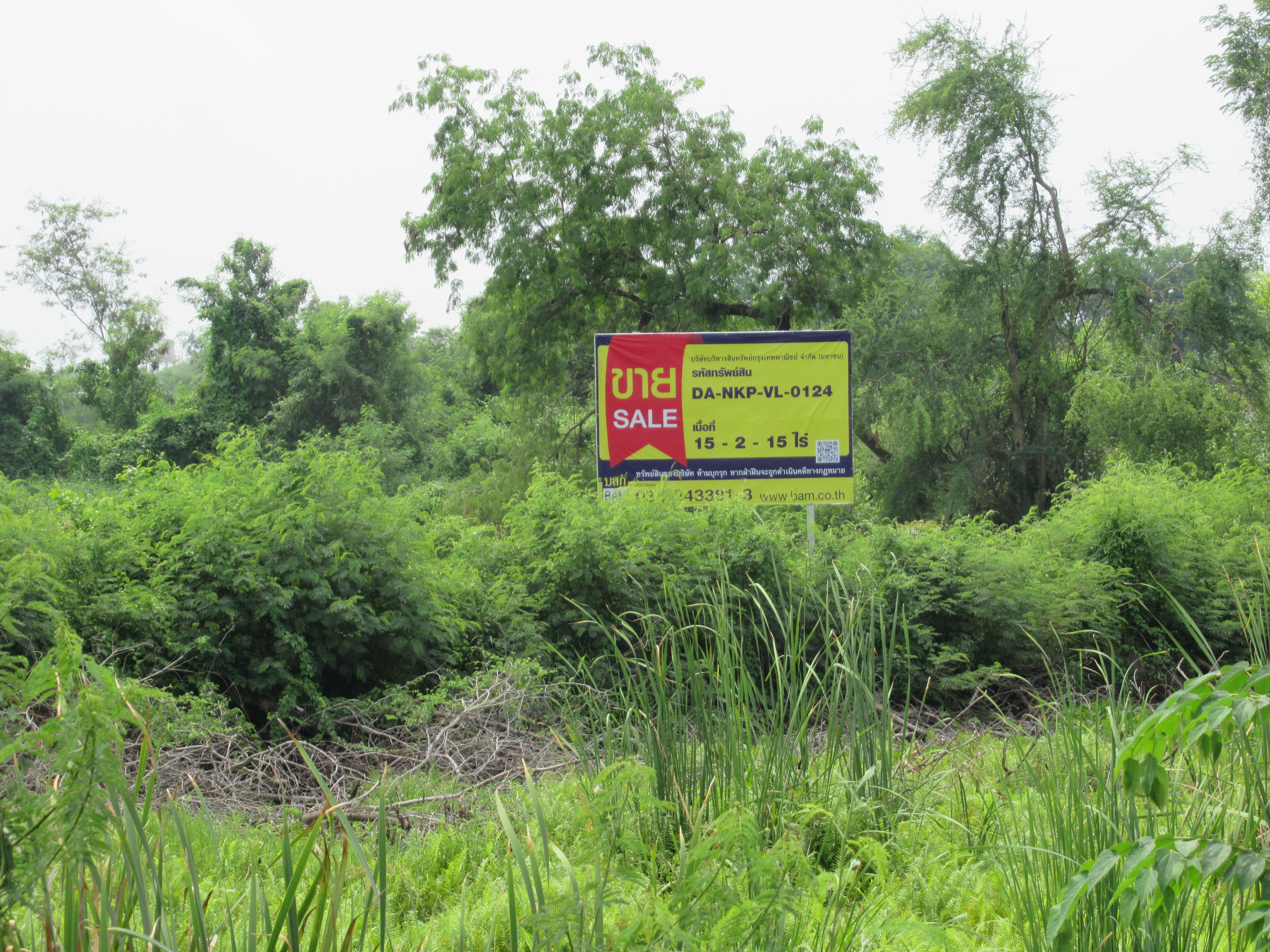 Empty land, Rat Island Project, Nakhon Pathom Province