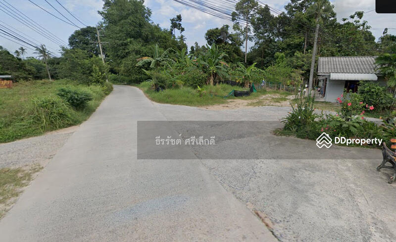 Land for sale in Chaweng, Bophut Subdistrict, Koh Samui District, Surat Thani Province, Surat Thani