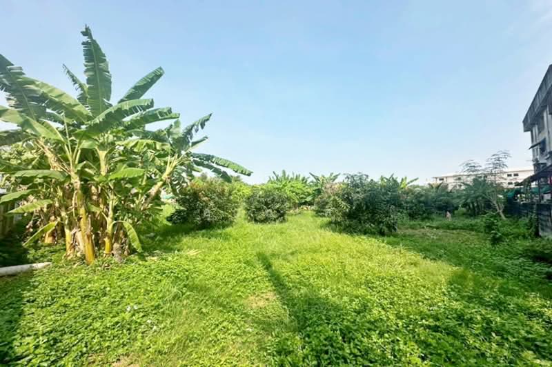 ติวานนท์ 43, Nonthaburi