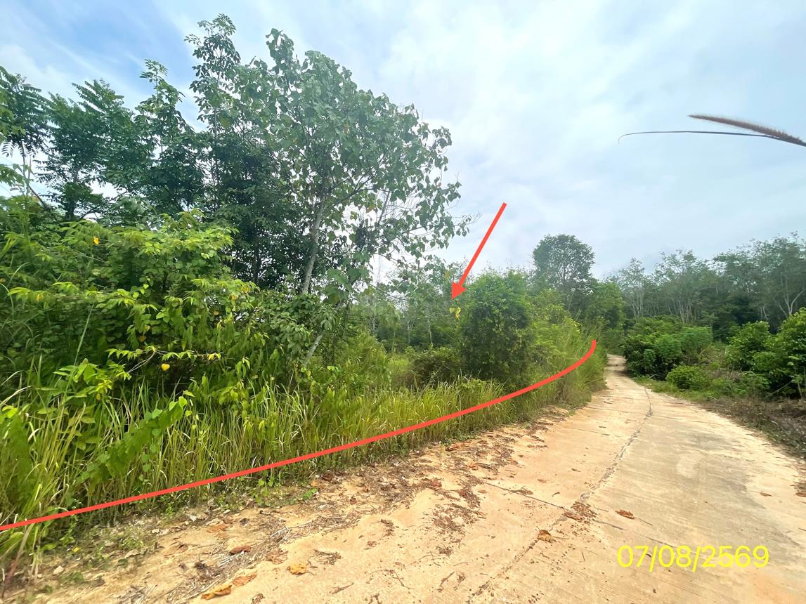 Empty Land in Sa Daeng, Songkhla