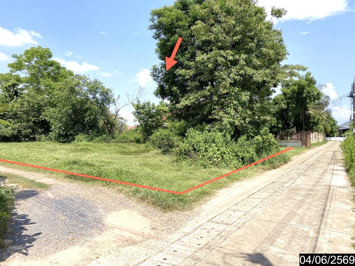 Vacant Land for Sale in Bueng Kan Province, Bueng Kan