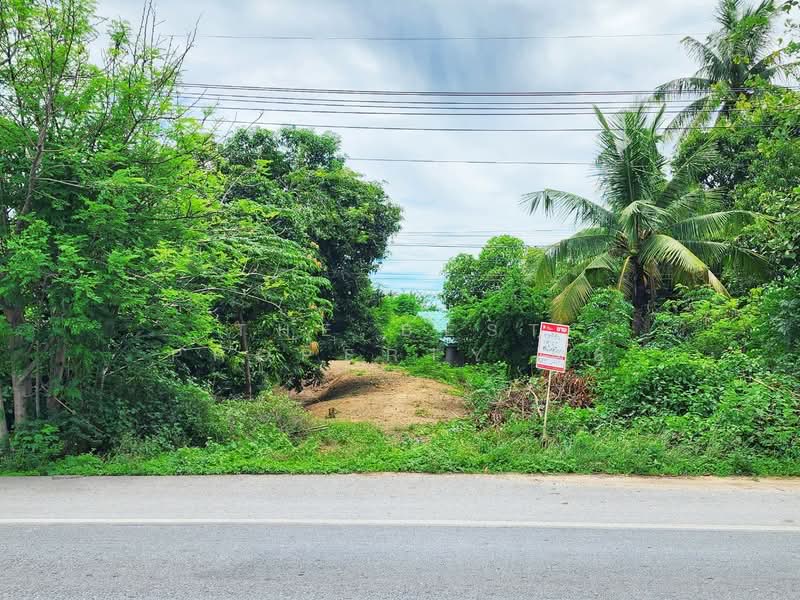 ที่ดินท่ามะกา กาญจนบุรี, Kanchanaburi