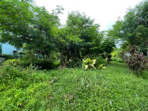 ที่ดินเปล่า เมืองภูเก็ต จังหวัดภูเก็ต