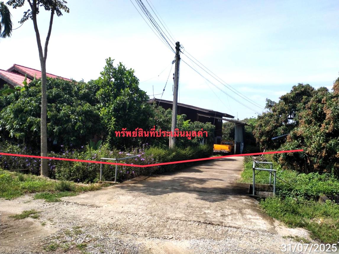 Single-Family House in San Pak Tong, Chiang Mai