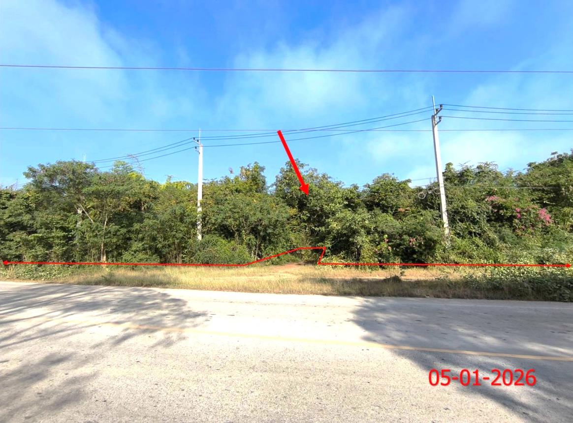 Vacant land, Kha Island, Lamphun