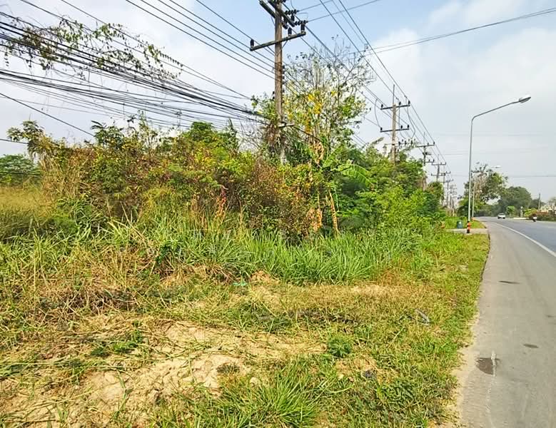 ที่ดินพนัสนิคม ชลบุรี, Chon Buri (Pattaya)