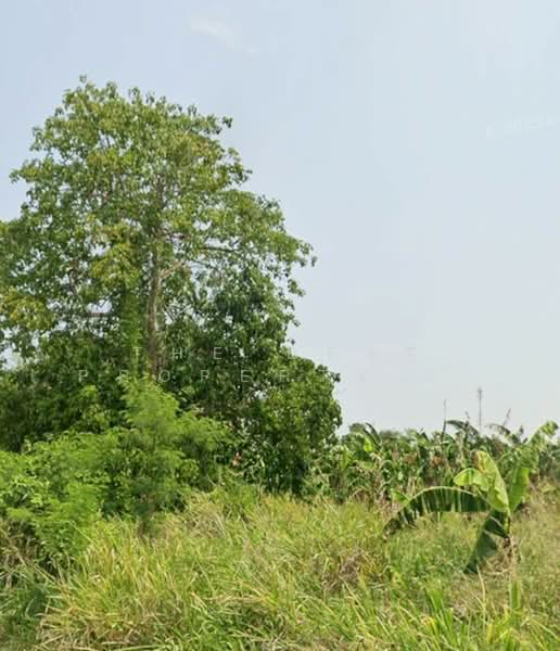 ที่ดินหัวหิน ประจวบคีรีขันธ์, Prachuap Khiri Khan