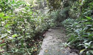 ที่ดินเปล่า เมืองภูเก็ต ภูเก็ต