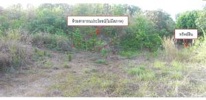 Vacant Land, Koh Lanta, Krabi
