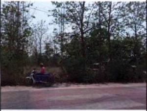 ที่ดินเปล่า หนองกุงศรี จังหวัดกาฬสินธุ์