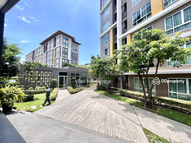 Dcondo Campus Resort Bangsaen, Chon Buri (Pattaya)