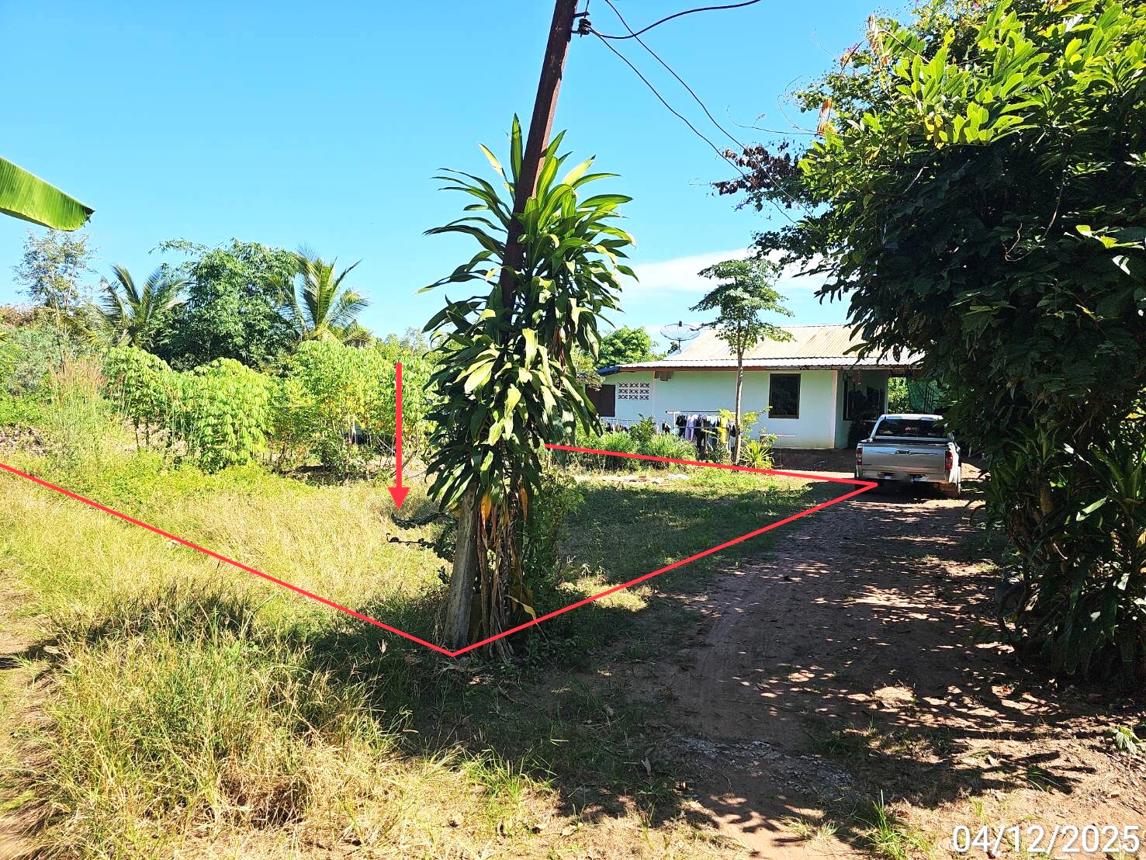 Empty Land for Sale in Loei, Phetchabun