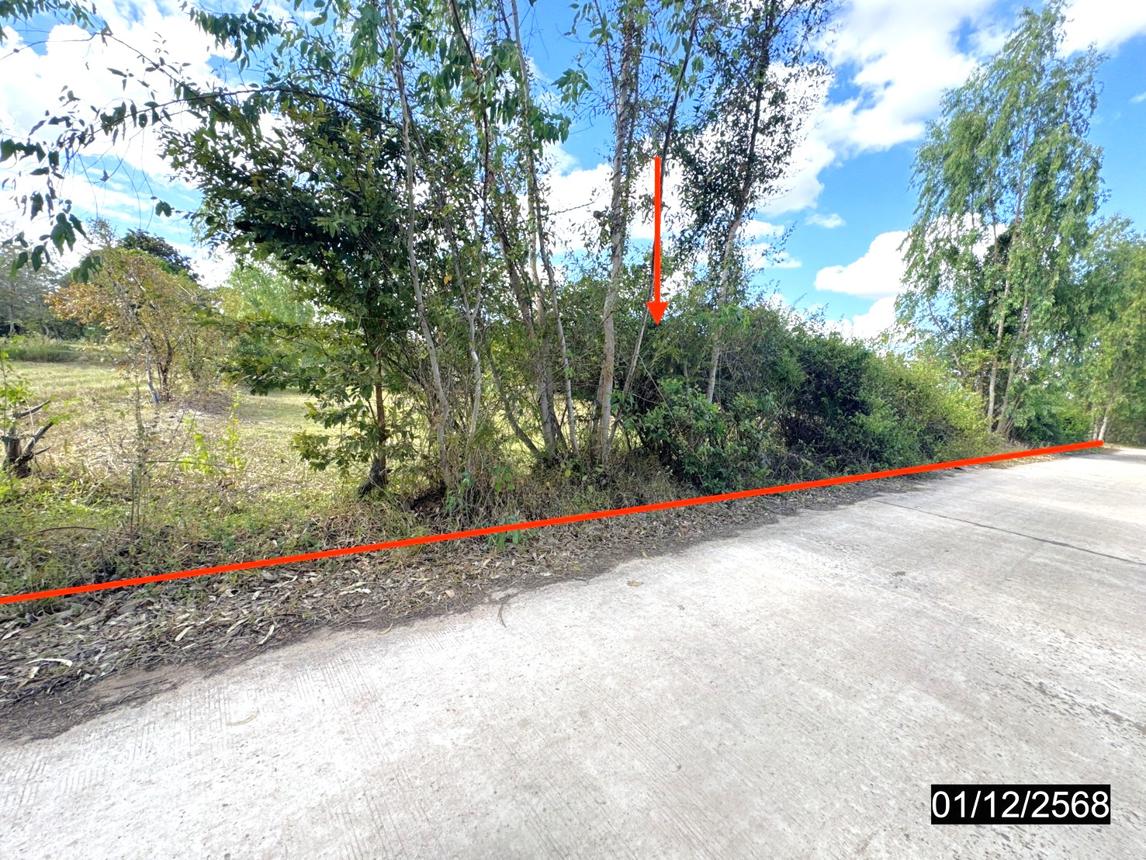 Empty Land in Pathum Ratchawongsa, Amnat Charoen