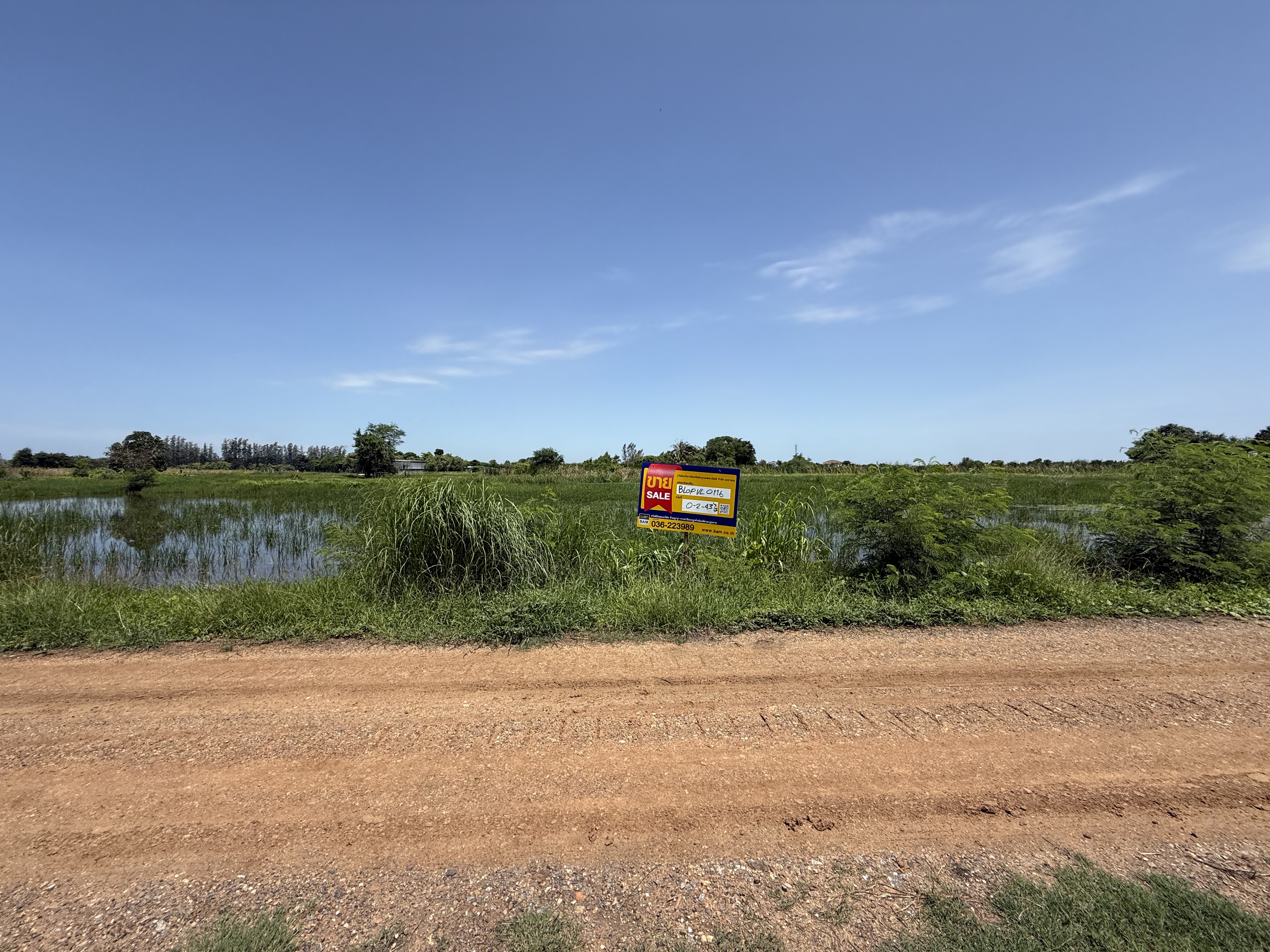 Empty Land in Lopburi