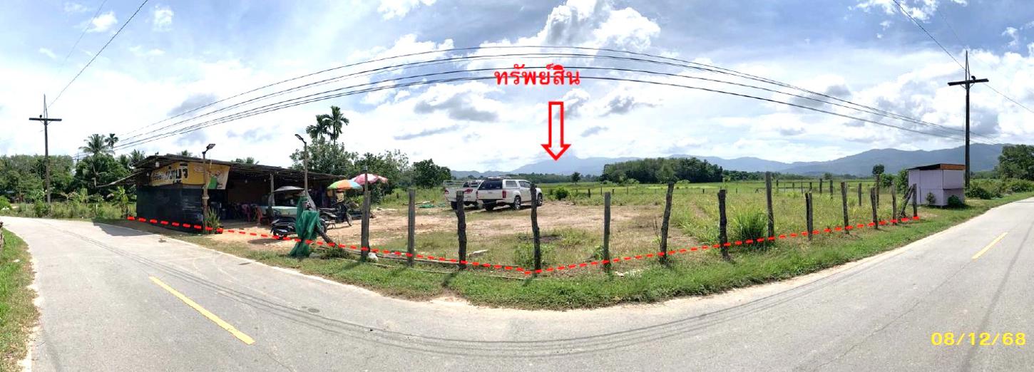 Vacant Land for Sale in Ramann, Yala Province