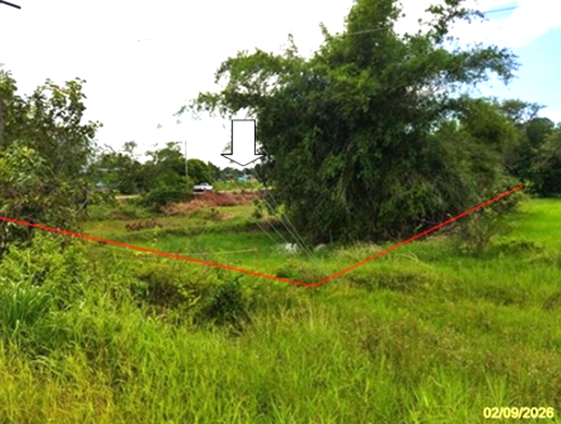 Vacant Land for Sale in Roi Et, Roi Et Province